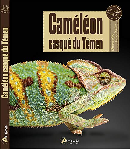 9782816005516: Camlon casqu du Ymen (0)