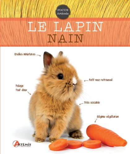 Beispielbild fr Le lapin nain zum Verkauf von Ammareal