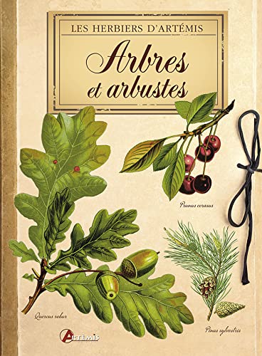 Imagen de archivo de Arbres et arbustes a la venta por Revaluation Books