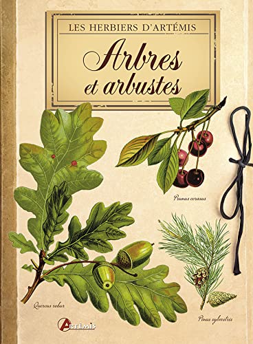 Stock image for Arbres et arbustes for sale by Revaluation Books