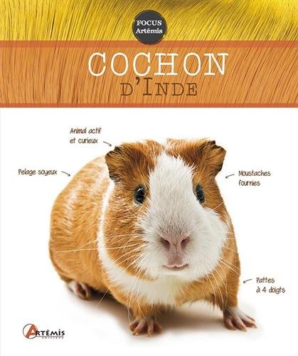 Stock image for Cochon d'Inde for sale by WorldofBooks