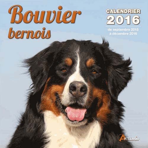 9782816007541: CALENDRIER BOUVIER BERNOIS 2016
