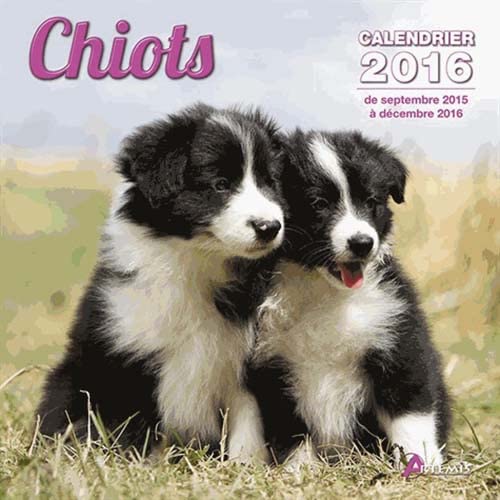 9782816007633: Chiots: Calendrier 2016