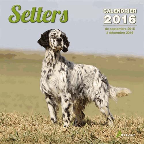 9782816007855: CALENDRIER SETTERS 2016