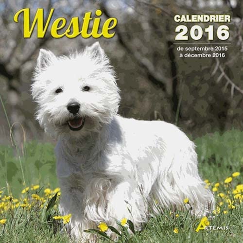 9782816007923: Westie: Calendrier 2016