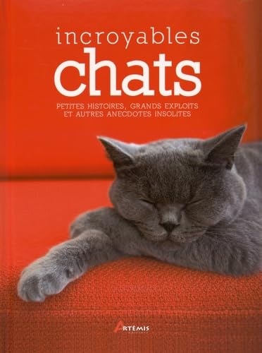 9782816008388: INCROYABLES CHATS