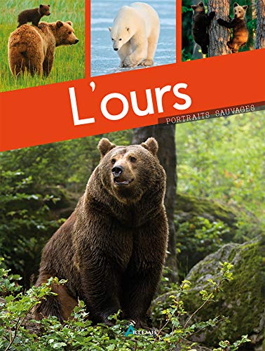 9782816008715: L'ours: 0