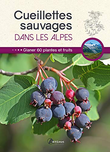 9782816009088: Cueillettes sauvages dans les Alpes: 60 plantes et fruits  glaner