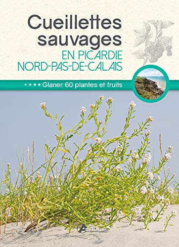 Beispielbild fr Cueillettes sauvages en Picardie-Nord-Pas-de-Calais : 60 plantes et fruits  glaner zum Verkauf von Revaluation Books