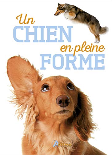Stock image for Un chien en pleine forme for sale by medimops
