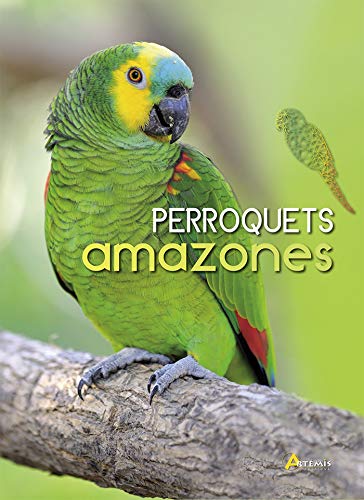 Beispielbild fr Perroquets amazones zum Verkauf von Gallix