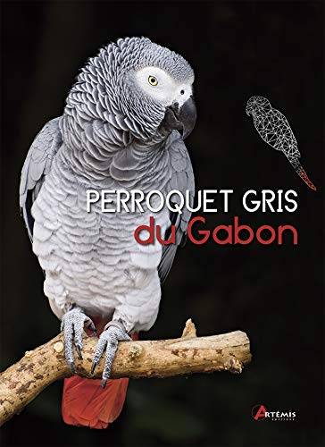 Beispielbild fr Perroquet gris du Gabon zum Verkauf von medimops