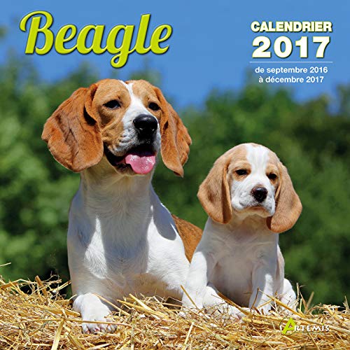 9782816009491: Calendrier beagle