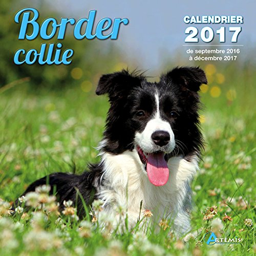9782816009545: Calendrier border collie