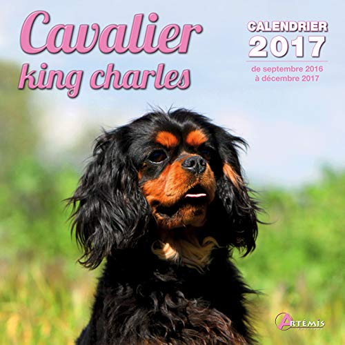 9782816009590: Calendrier cavalier king charles