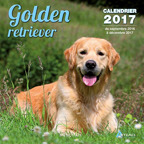 9782816009712: Calendrier golden retriever