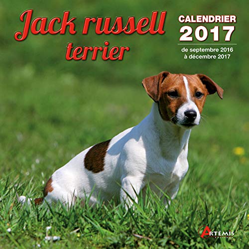 9782816009729: Calendrier jack russell terrier