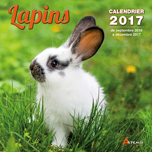 9782816009743: CALENDRIER LAPINS 2017