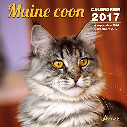 9782816009774: calendrier maine coon 2017