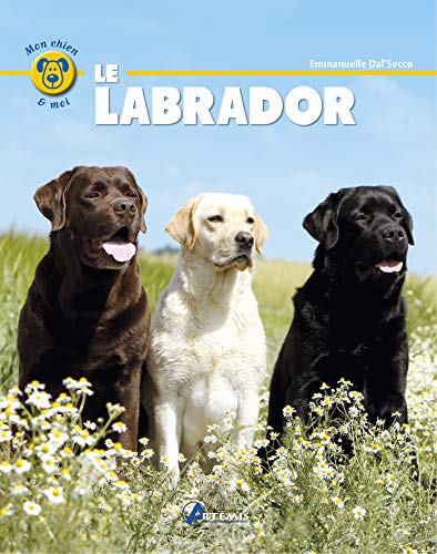 Beispielbild fr Le labrador zum Verkauf von medimops