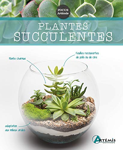 9782816014334: Plantes succulentes