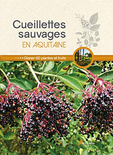 Beispielbild fr Cueillettes sauvages en Aquitaine : 60 plantes et fruits  glaner zum Verkauf von Revaluation Books