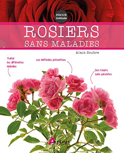 Stock image for Rosiers sans maladies for sale by Librairie Th  la page