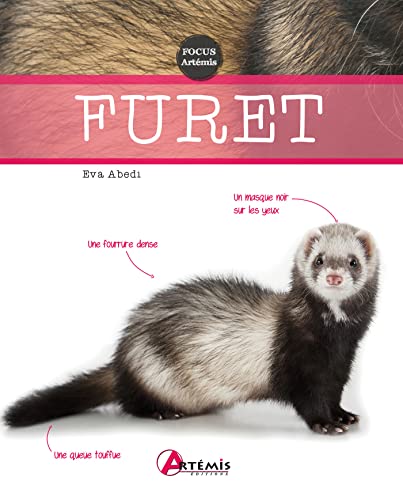 Stock image for Furet for sale by Librairie Th  la page