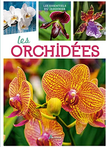 Imagen de archivo de Orchides a la venta por medimops