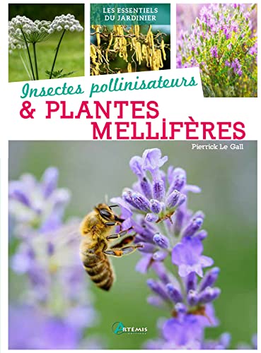 Beispielbild fr Insectes pollinisateurs et plantes mellifres zum Verkauf von Le Monde de Kamlia