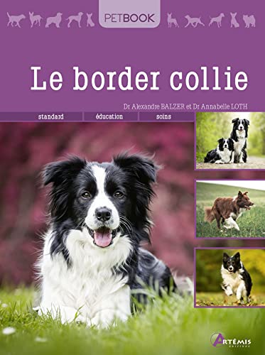Stock image for Border collie for sale by medimops