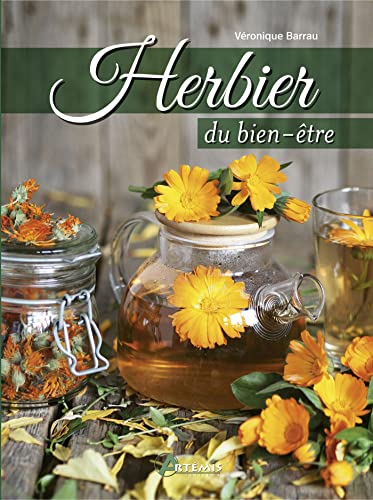 Stock image for Herbier du bien-tre for sale by Le Monde de Kamlia
