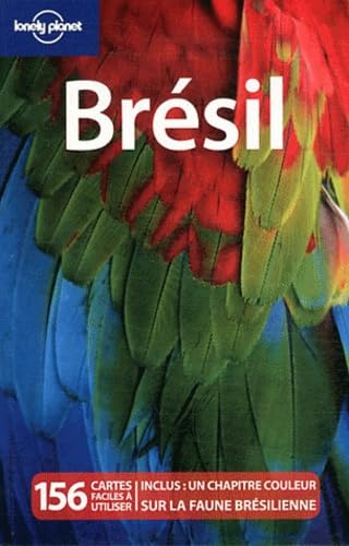 Stock image for Brsil (GUIDE DE VOYAGE) (French Edition) for sale by Better World Books Ltd
