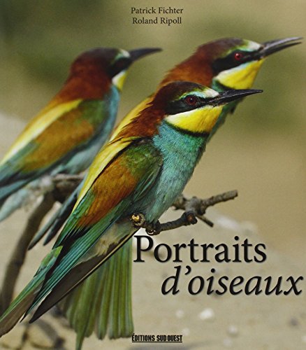 Beispielbild fr Portraits D'Oiseaux zum Verkauf von LeLivreVert