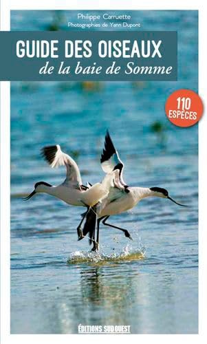 Beispielbild fr Guide Des Oiseaux De La Baie De Somme zum Verkauf von medimops