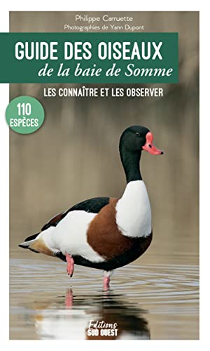 Beispielbild fr Guide des oiseaux de la baie de Somme. Les connatre et les observer: Les connatre et les observer zum Verkauf von Gallix