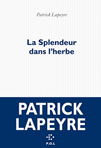 Beispielbild fr La Splendeur dans l'herbe (Fiction) (French Edition) zum Verkauf von Better World Books