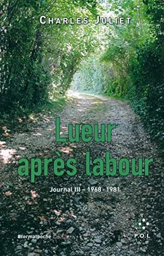 Stock image for Journal, III:Lueur aprs labour: (1968-1981) for sale by medimops