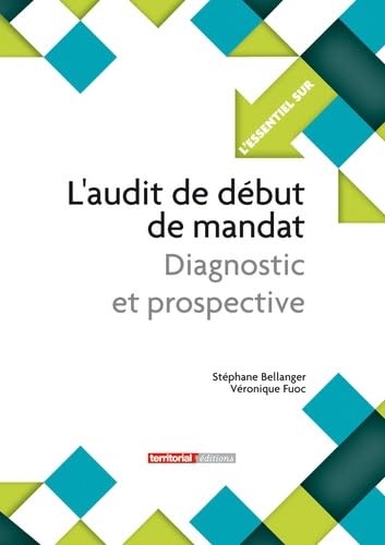 9782818607497: L'audit de dbut de mandat: Diagnostic et prospective