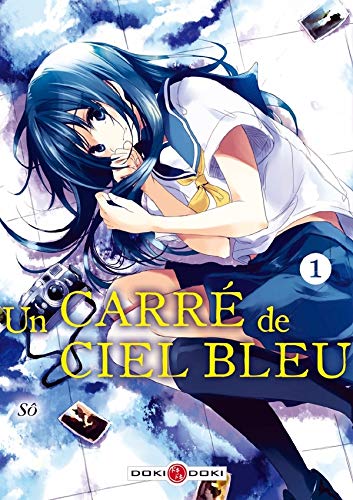 Beispielbild fr Un carr de ciel bleu - volume 1 zum Verkauf von Ammareal