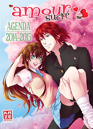 9782820317469: Amour sucre - agenda scolaire 2014-2015