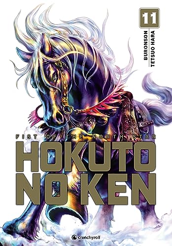 Stock image for Hokuto No Ken - (Rdition) T11 for sale by Buchpark