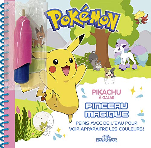 Beispielbild fr Pokmon - Pinceau magique - Pikachu  Galar - Ds 3 ans zum Verkauf von medimops