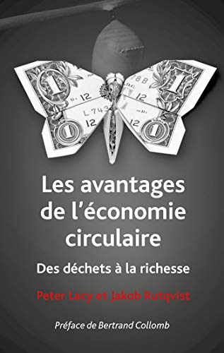 Beispielbild fr Des Dchets  La Richesse : Les Avantages De L'conomie Circulaire zum Verkauf von RECYCLIVRE