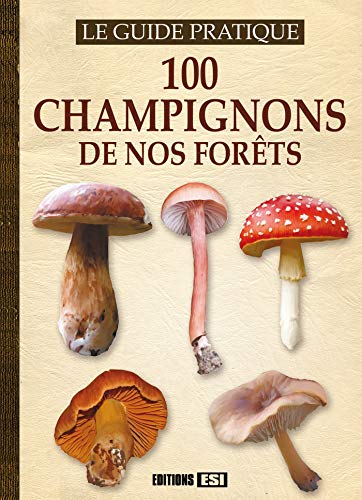 Stock image for 100 Champignons De Nos Forts : Le Guide Pratique for sale by RECYCLIVRE