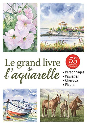 Beispielbild fr Le Grand Livre De L'aquarelle zum Verkauf von RECYCLIVRE