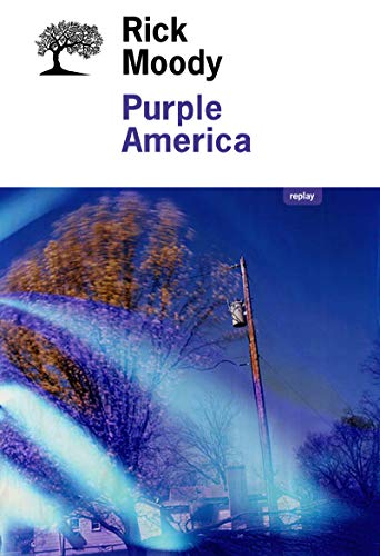 Beispielbild fr Purple America zum Verkauf von Ammareal