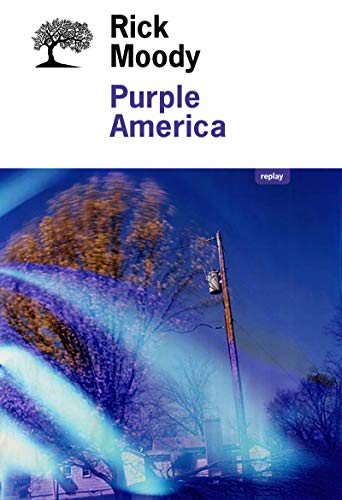 Stock image for Purple America for sale by Ammareal