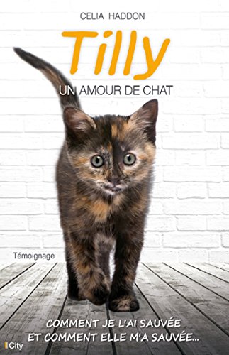 Beispielbild fr Tilly, un amour de chat zum Verkauf von medimops