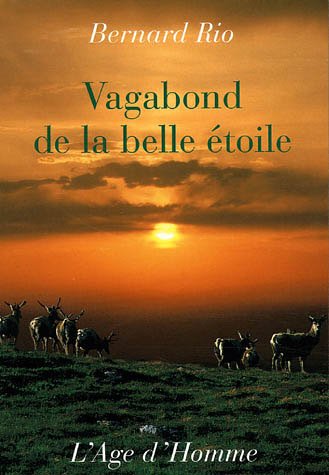 Beispielbild fr Vagabond de la belle toile zum Verkauf von medimops